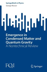 Imagen de portada: Emergence in Condensed Matter and Quantum Gravity 9783031098949