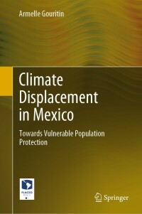 表紙画像: Climate Displacement in Mexico 9783031103346