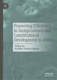 صورة الغلاف: Promoting Efficiency in Jurisprudence and Constitutional Development in Africa 9783031138133