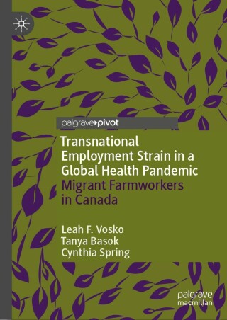 表紙画像: Transnational Employment Strain in a Global Health Pandemic 9783031177033