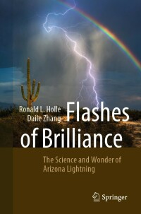 Cover image: Flashes of Brilliance 9783031198786