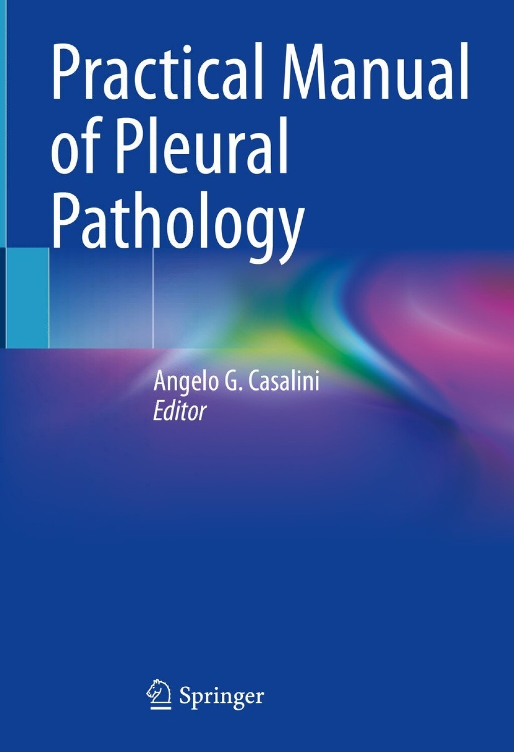 ISBN 9783031203114 product image for Practical Manual of Pleural Pathology (eBook Rental) | upcitemdb.com