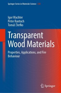 Imagen de portada: Transparent Wood Materials 9783031234040