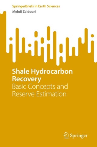 Imagen de portada: Shale Hydrocarbon Recovery 9783031235580