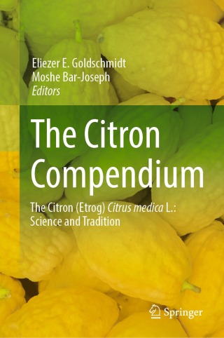 Imagen de portada: The Citron Compendium 9783031257742