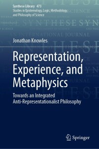 Cover image: Representation, Experience, and Metaphysics 9783031269233