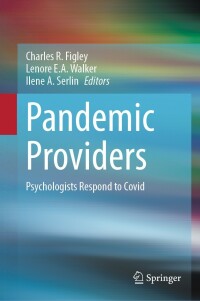 Imagen de portada: Pandemic Providers 9783031275791