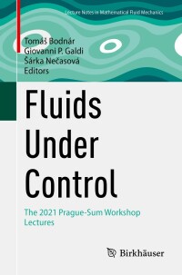 Cover image: Fluids Under Control 9783031276248