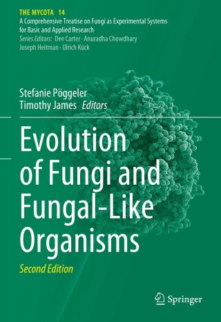 Imagen de portada: Evolution of Fungi and Fungal-Like Organisms 2nd edition 9783031291982