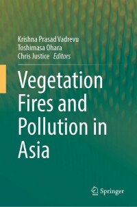 Imagen de portada: Vegetation Fires and Pollution in Asia 9783031299155