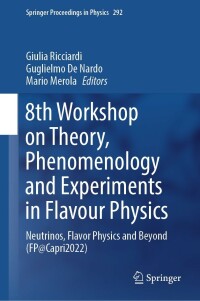 Titelbild: 8th Workshop on Theory, Phenomenology and Experiments in Flavour Physics 9783031304583