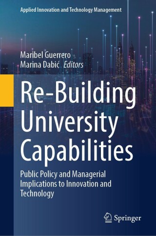 Immagine di copertina: Re-Building University Capabilities 9783031316661