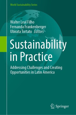 Immagine di copertina: Sustainability in Practice 9783031344350