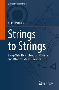 Cover image: Strings to Strings 9783031353574