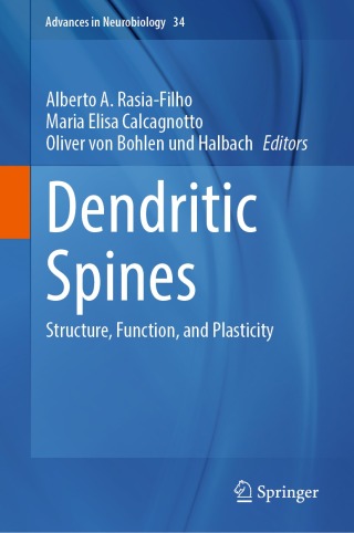 Imagen de portada: Dendritic Spines 9783031361586