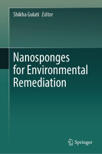 Titelbild: Nanosponges for Environmental Remediation 9783031410765