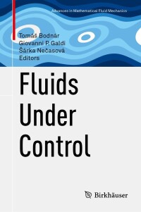 Imagen de portada: Fluids Under Control 9783031473548