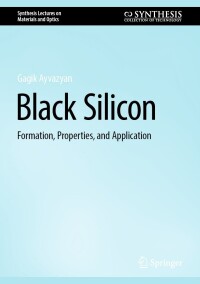 Imagen de portada: Black Silicon 9783031486869