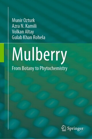 Cover image: Mulberry 9783031491160