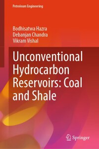 Immagine di copertina: Unconventional Hydrocarbon Reservoirs: Coal and Shale 9783031534836