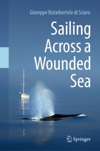 Cover image: Sailing Across a Wounded Sea 9783031545962