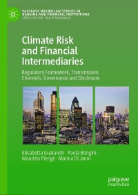 表紙画像: Climate Risk and Financial Intermediaries 9783031548710