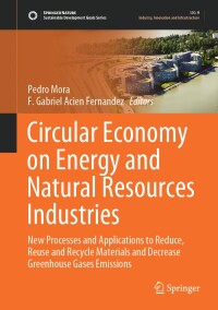 Cover image: Circular Economy on Energy and Natural Resources Industries 9783031562839