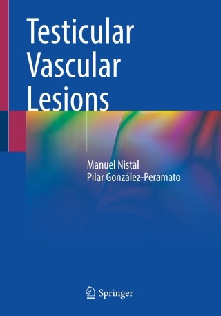 Cover image: Testicular Vascular Lesions 9783031578465