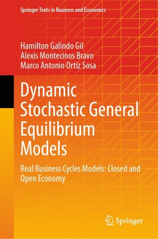 Omslagafbeelding: Dynamic Stochastic General Equilibrium Models 9783031581045