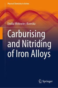 Imagen de portada: Carburising and Nitriding of Iron Alloys 9783031598616