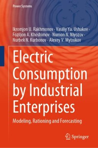 Cover image: Electric Consumption by Industrial Enterprises 9783031626753