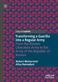 Cover image: Transforming a Guerilla into a Regular Army 9783031628160