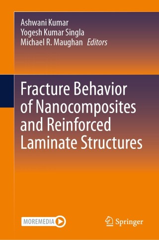 Imagen de portada: Fracture Behavior of Nanocomposites and Reinforced Laminate Structures 9783031686931