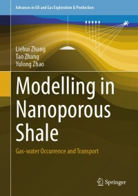 صورة الغلاف: Modelling in Nanoporous Shale 9783031691416