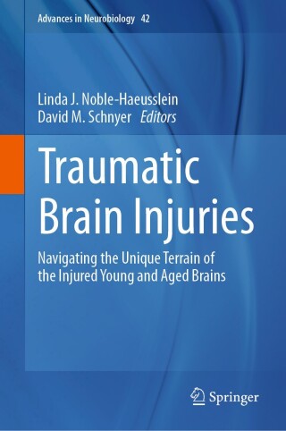 Imagen de portada: Traumatic Brain Injuries 9783031698316