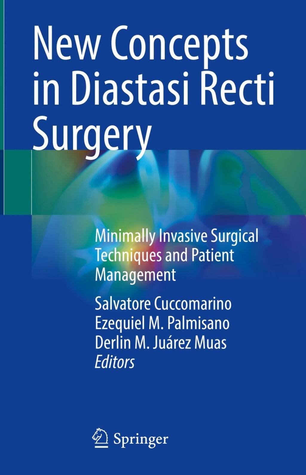 New Concepts in Diastasi Recti Surgery Minimally Invasive Surgical Techniques and Patient Management