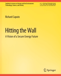 Cover image: Hitting the Wall 9783031794223