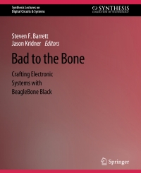 Cover image: Bad to the Bone 2nd edition 9783031798801