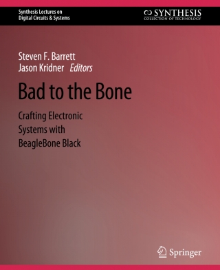 Titelbild: Bad to the Bone 2nd edition 9783031798801