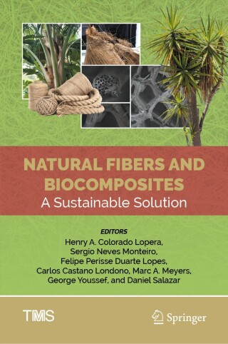 Cover image: Natural Fibers and Biocomposites 9783031811890