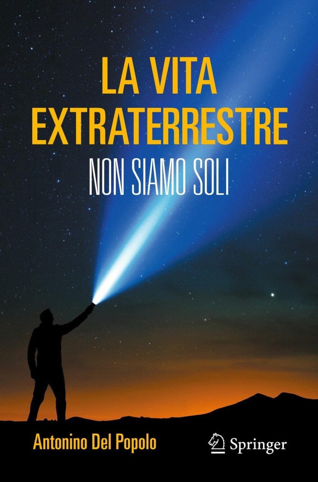 La vita extraterrestre Non siamo soli
