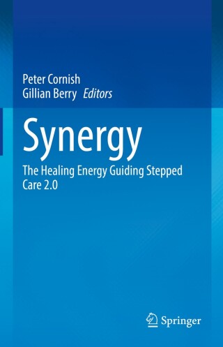 Cover image: Synergy 9783031884924