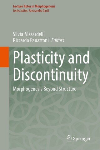 表紙画像: Plasticity and Discontinuity 9783032031181