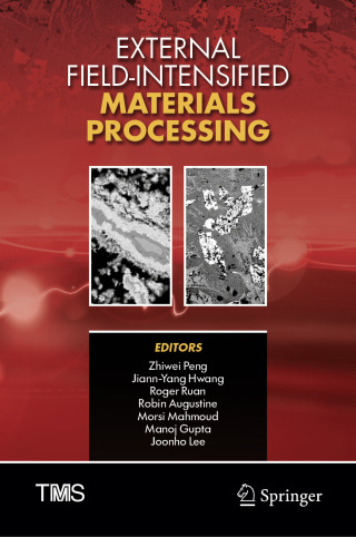 Cover image: External Field-Intensified Materials Processing 9783032137630