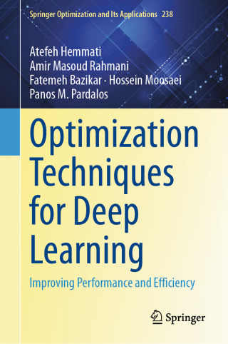 Imagen de portada: Optimization Techniques for Deep Learning 9783032207029
