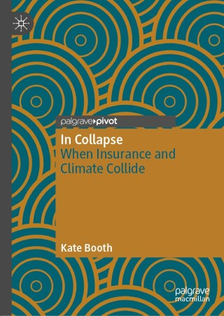 Imagen de portada: In Collapse 9783032207739