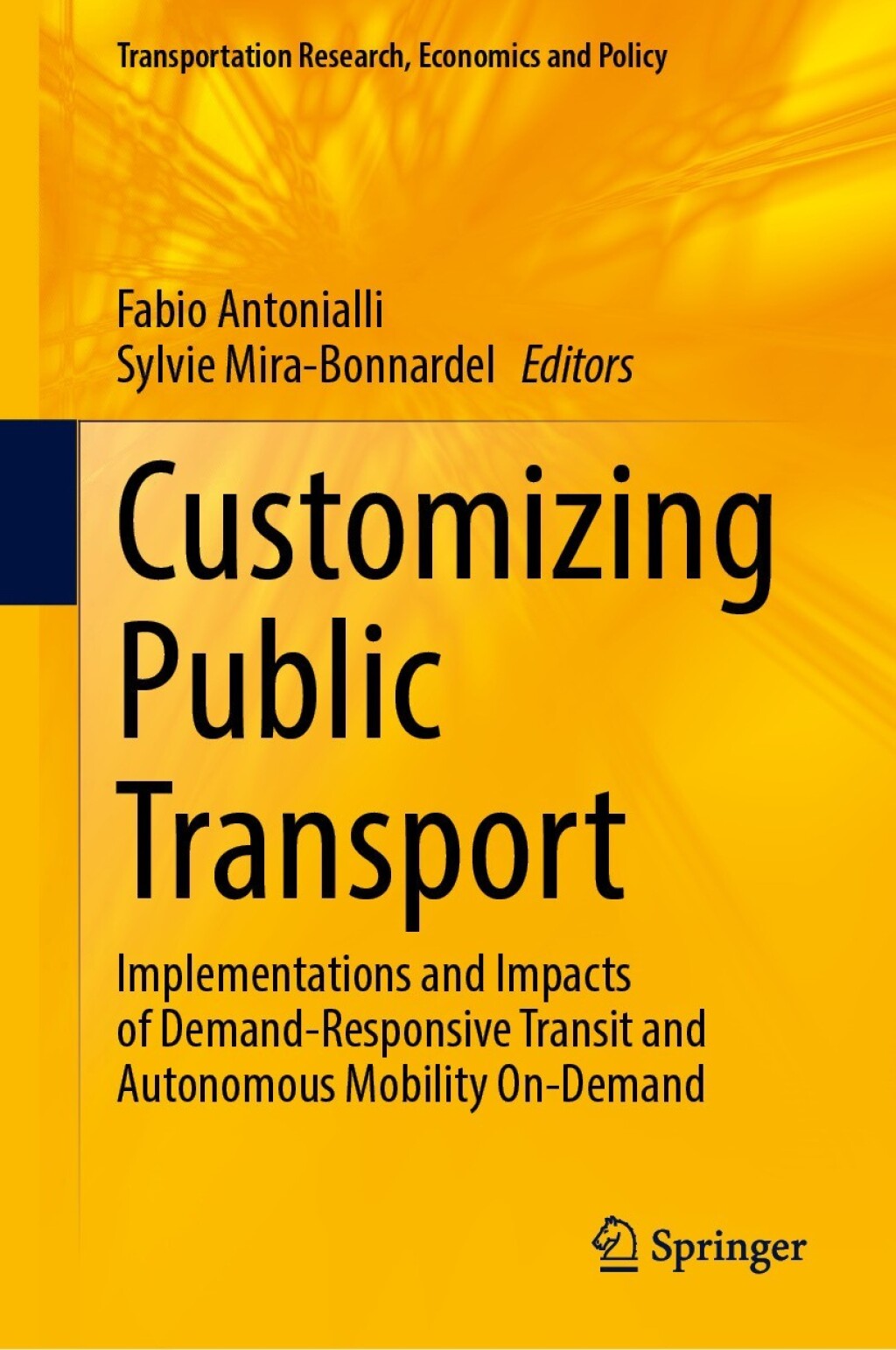 Customizing Public Transport eBook Rental