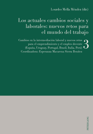Cover image: Los actuales cambios sociales y laborales: nuevos retos para el mundo del trabajo 1st edition 9783034328517