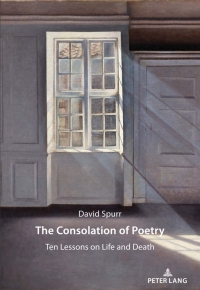 Cover image: The Consolation of Poetry 1st edition 9783034342117