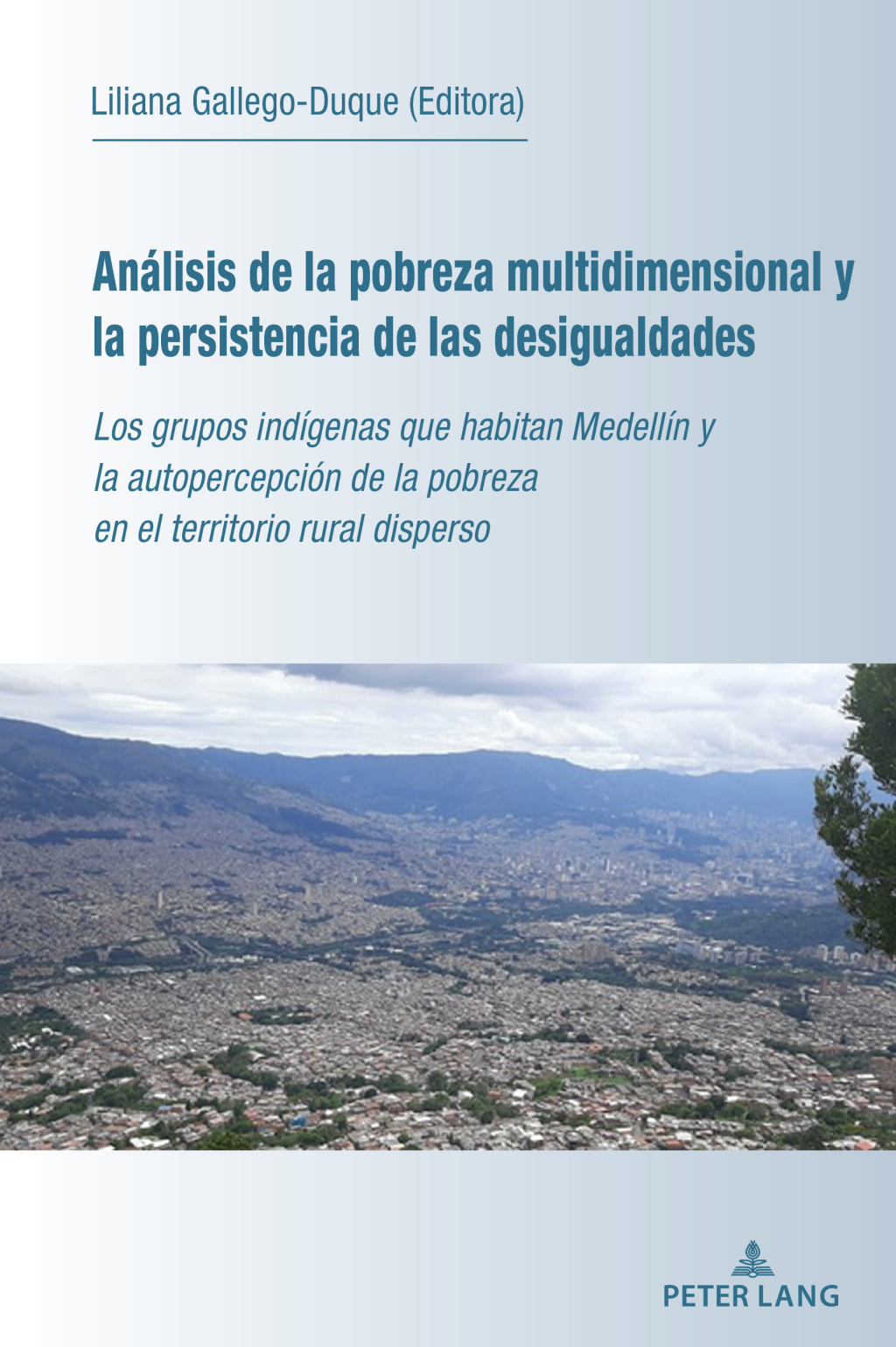 Análisis de la pobreza multidimensional y la persistencia de las desigualdades Los grupos indígenas que habitan Medellín y la autopercepción de la pobreza en el territorio rural disperso 1st Edition
